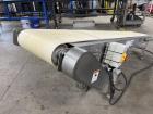 Titan Industries Incline Conveyor